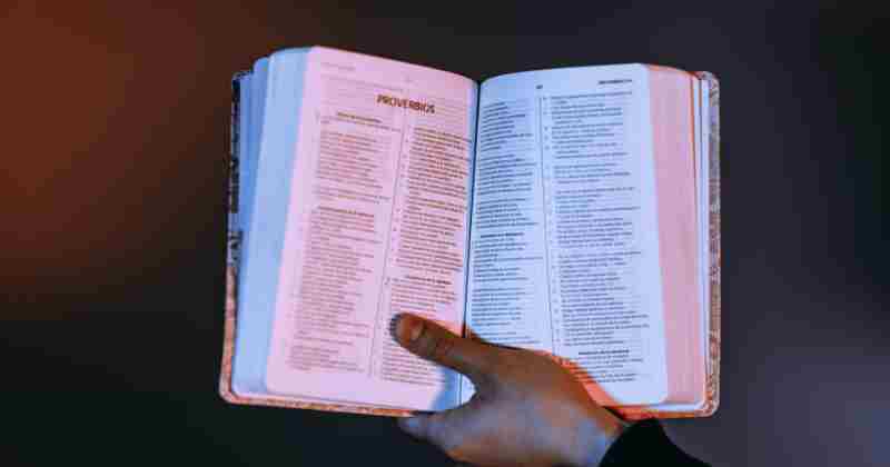 Como Fazer Estudo Bíblico Sozinho: Compreensão da Palavra